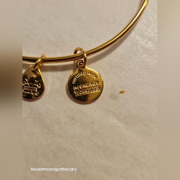 Alex and Ani U.S. Army Bracelet - Picture 2 of 8